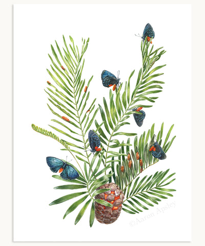 Atala Butterflies & Coontie Palm Print
