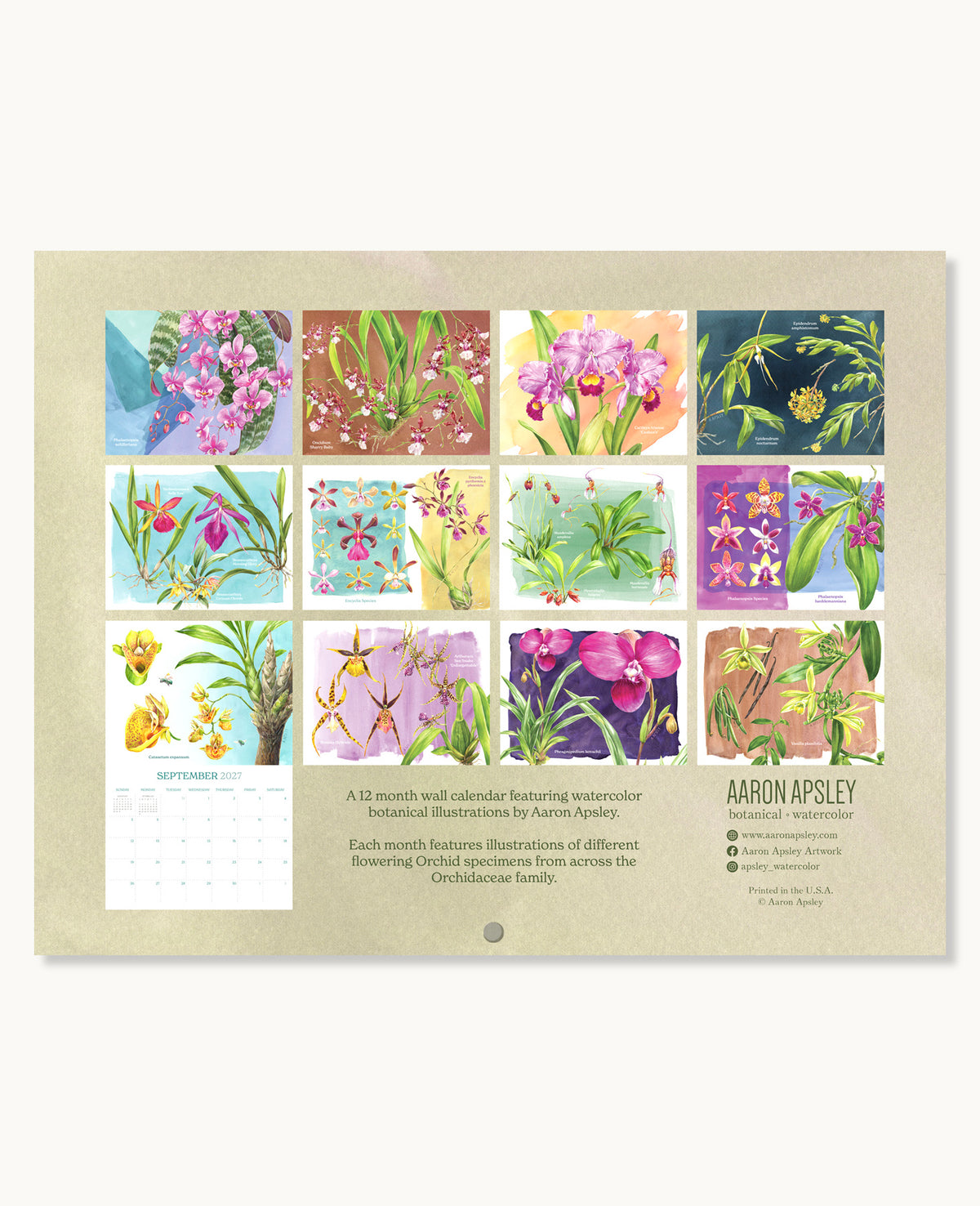 2027 Orchid Wall Calendar