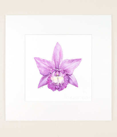 Brassocatanthe Little Mermaid - Original Watercolor