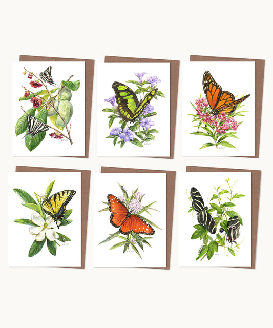 Native Butterflies Notecard Set