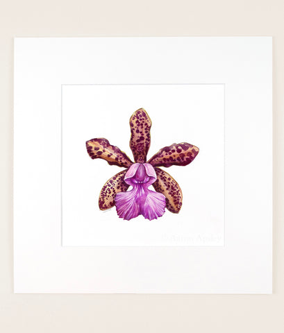Cattleya Lacey Michelle Matherne - Original Watercolor