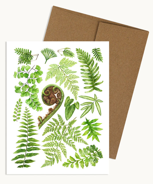 Fern Species Notecard