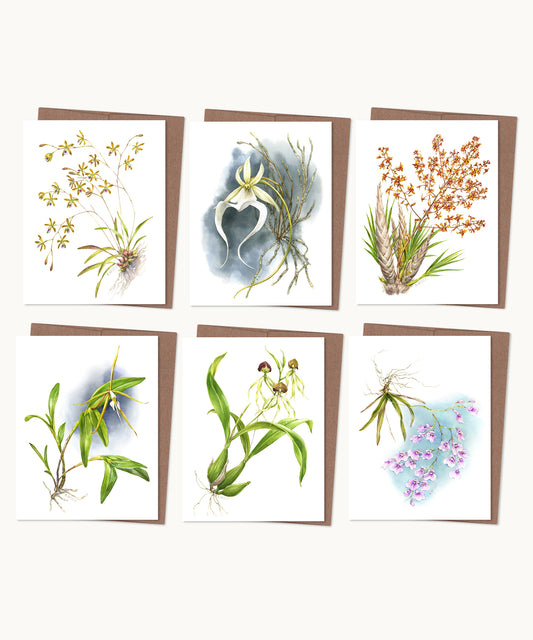 Florida Native Orchids Notecard Set