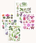 Flowering Houseplants Notecard Set