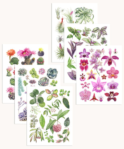 Flowering Houseplants Notecard Set