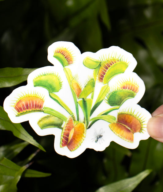 Venus Flytrap Sticker