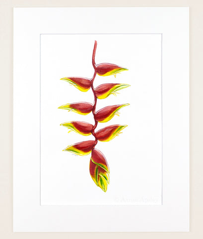 Heliconia rostrata - Original Watercolor