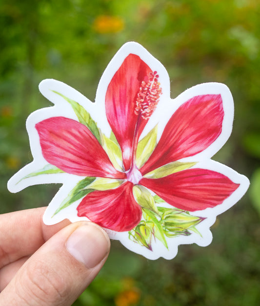 Hibiscus coccineus Sticker