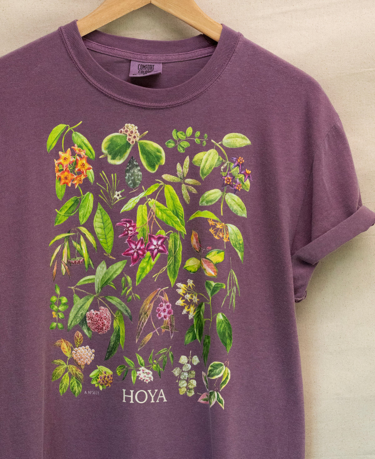 Hoya T-Shirt - Purple