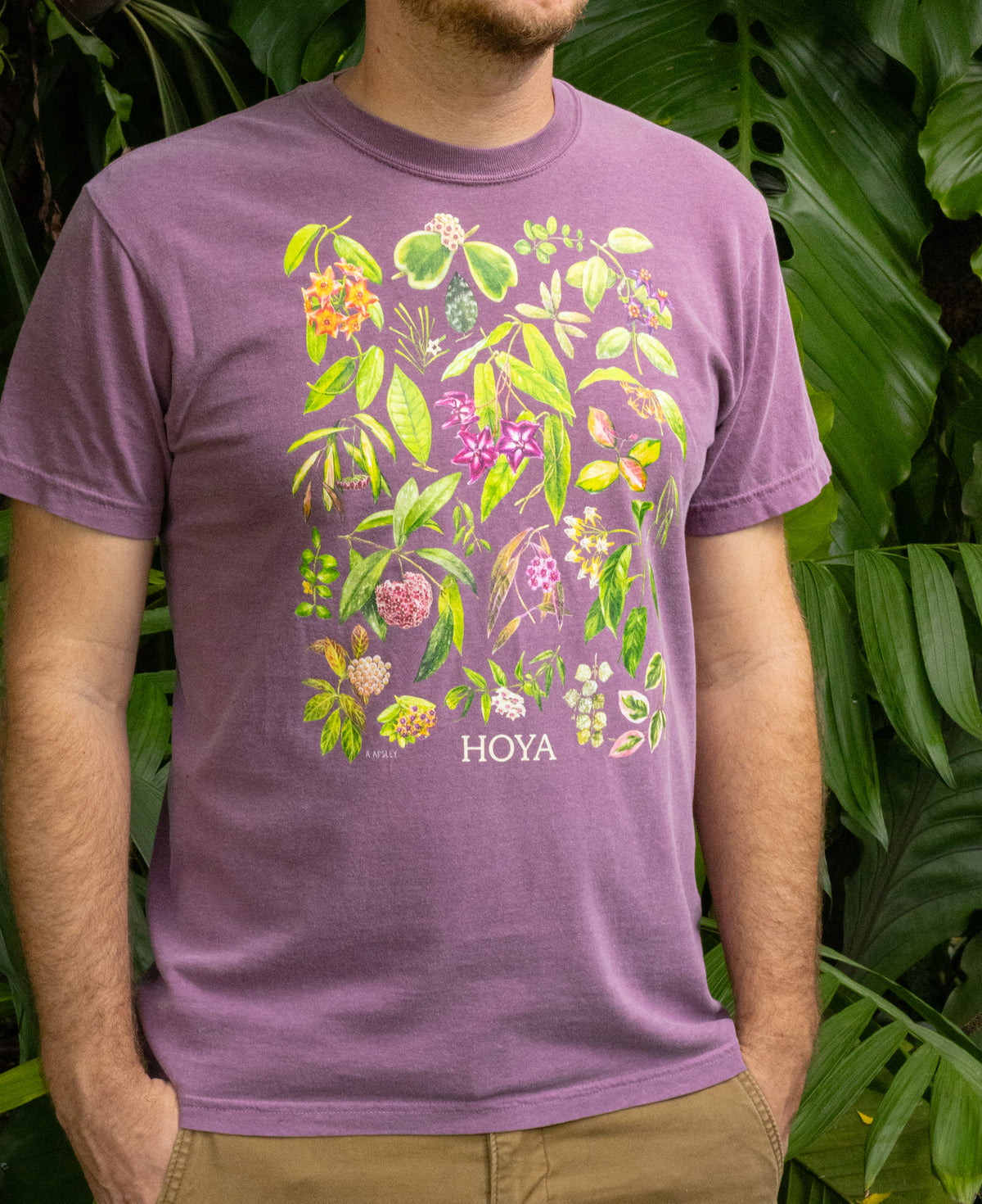 Hoya T-Shirt - Purple