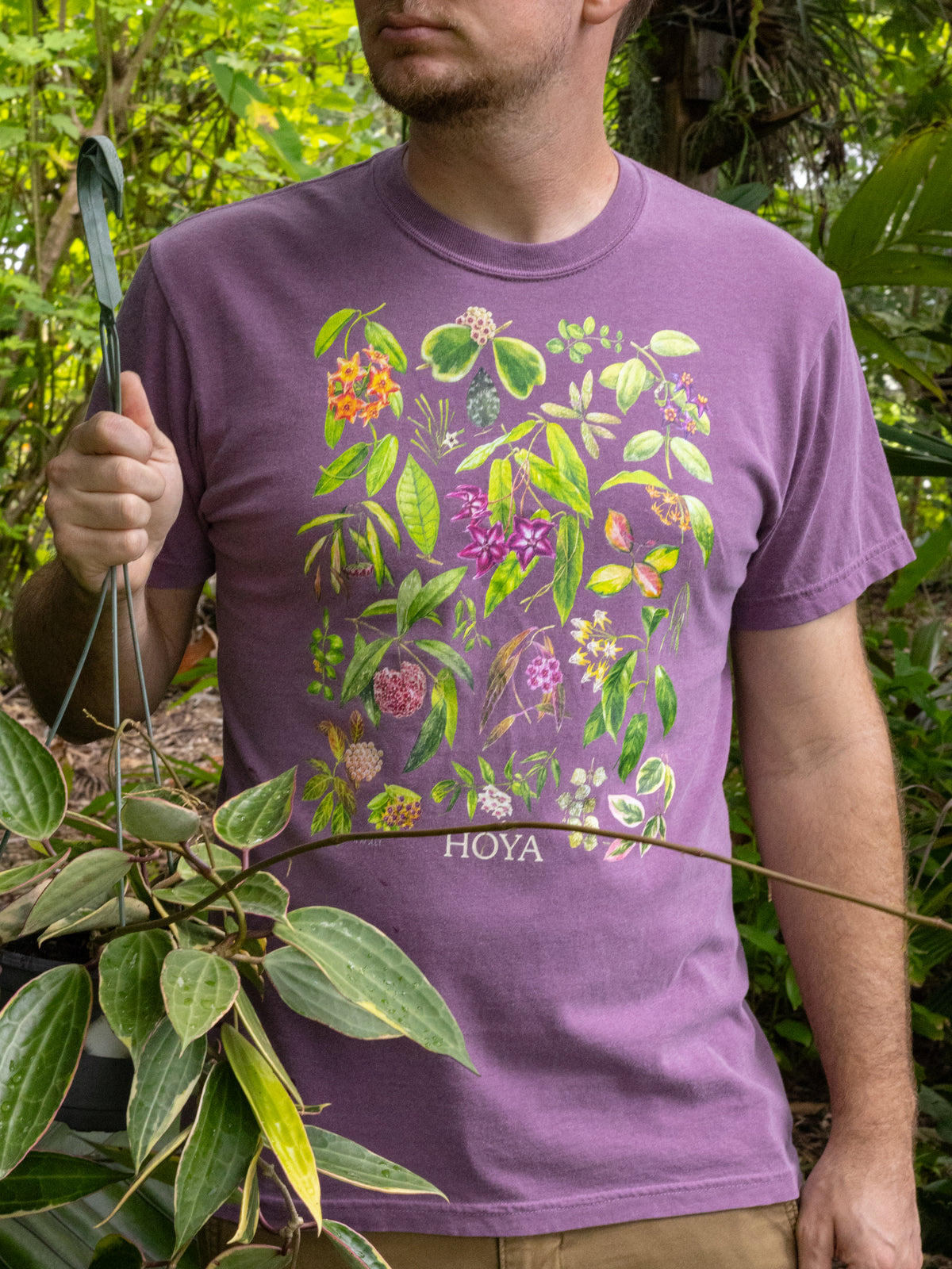 Hoya T-Shirt - Purple