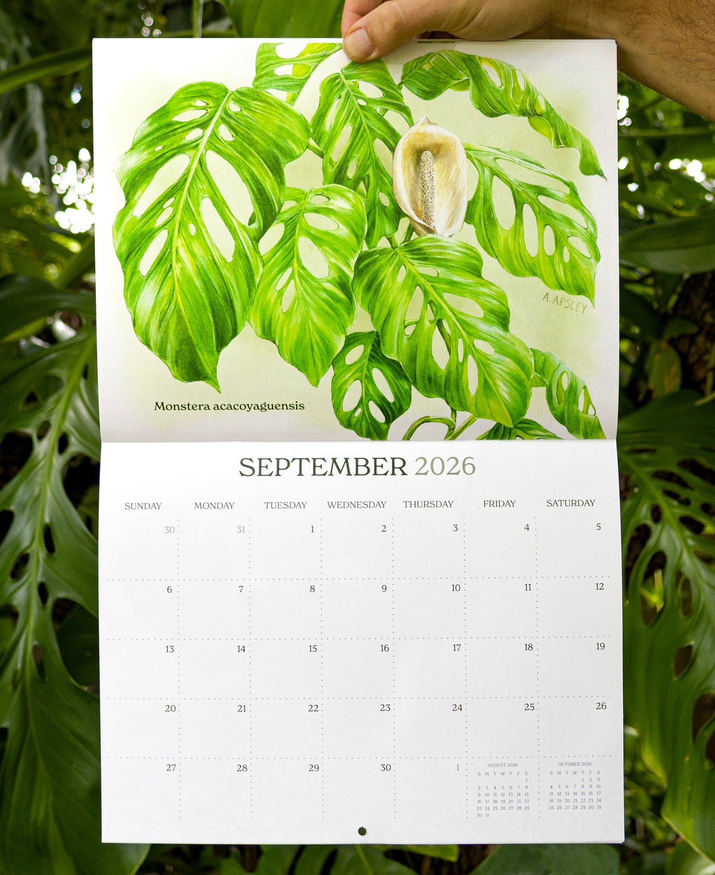 2026 Aroid Wall Calendar