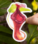 Nepenthes Sticker