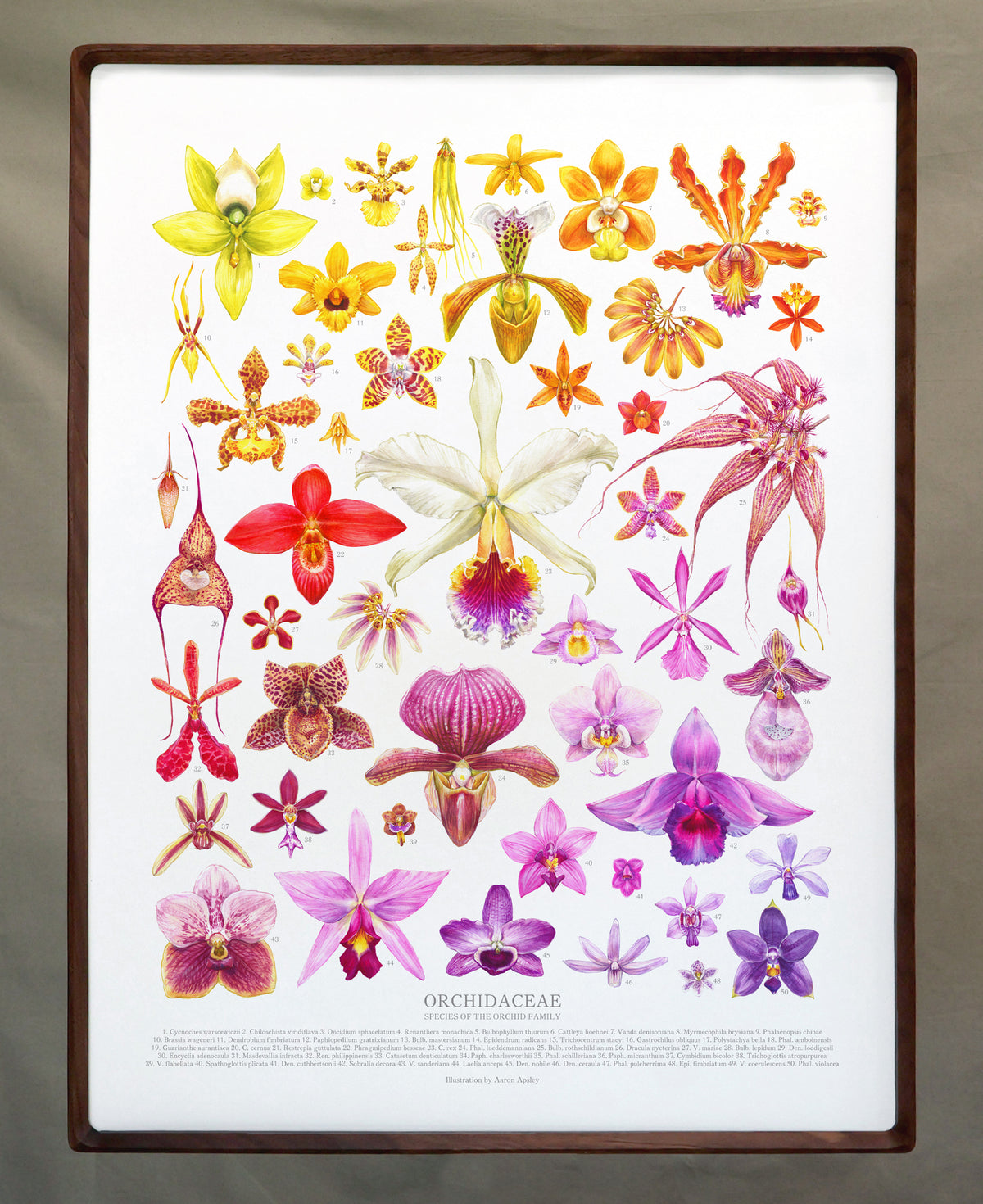 Framed 18x24 Print