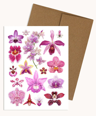 Orchid Flowers Notecard