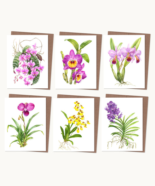 Orchids Notecard Set