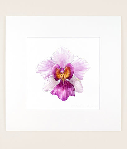 Papilionanthe Miss Joaquim - Original Watercolor