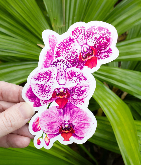 Phalaenopsis Orchid Magnet