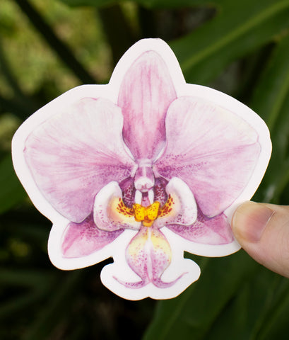 Phalaenopsis Sticker