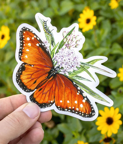 Queen Butterfly Magnet