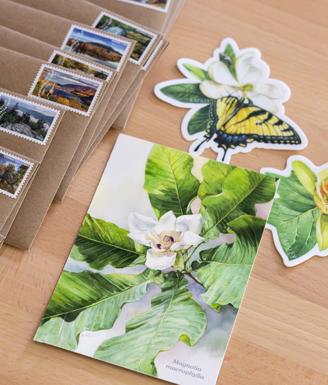 Mail Club Subscription