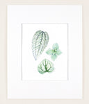 Mini Silver Leaves - Original Watercolor