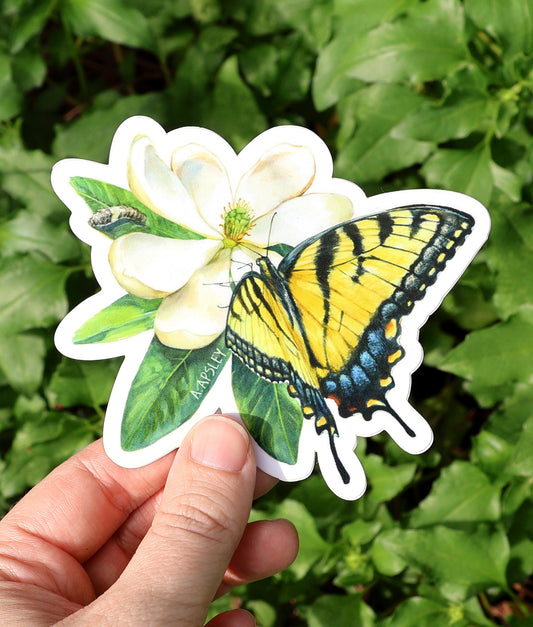 Tiger Swallowtail & Sweetbay Magnolia Sticker