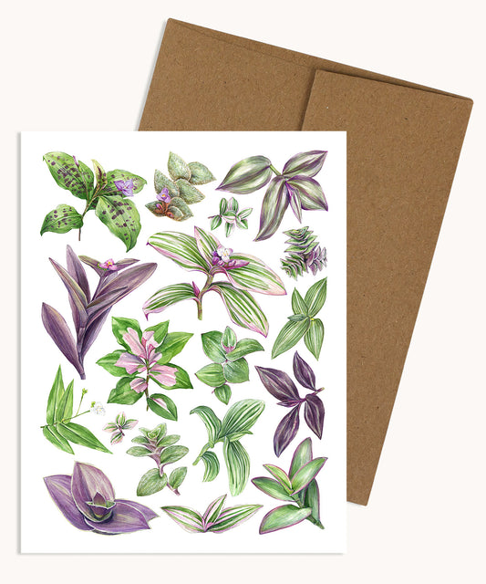 Tradescantia Notecard