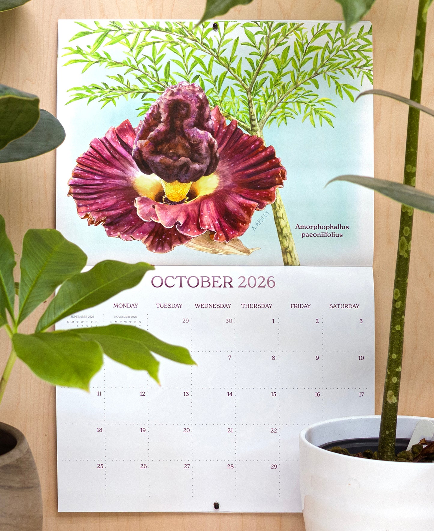 2026 Aroid Wall Calendar