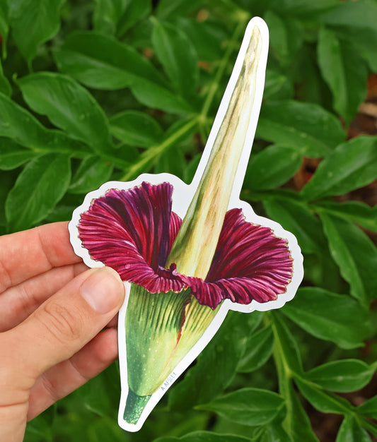 Corpse Flower Magnet