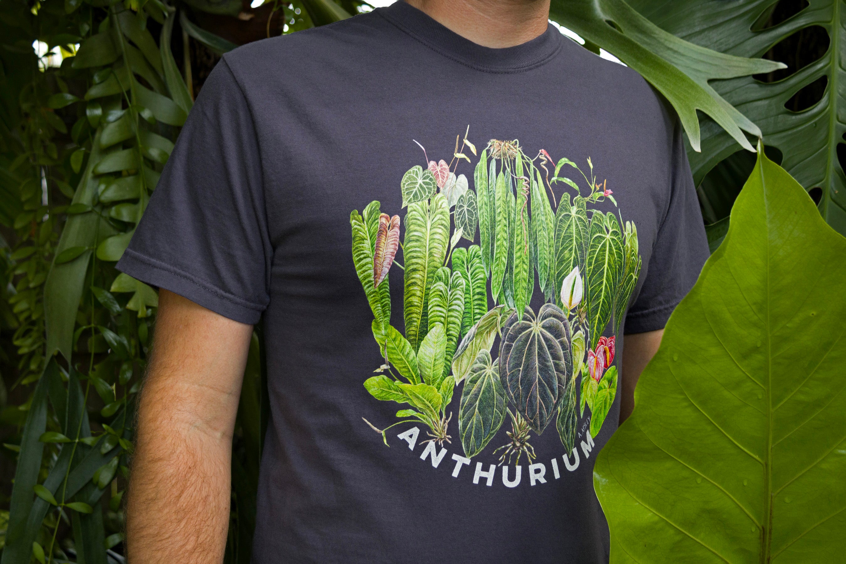 [OWIL] アウル BOTANICAL HAND PRINT SHIRT Anthurium T-Shirt – Aaron Apsley Artwork