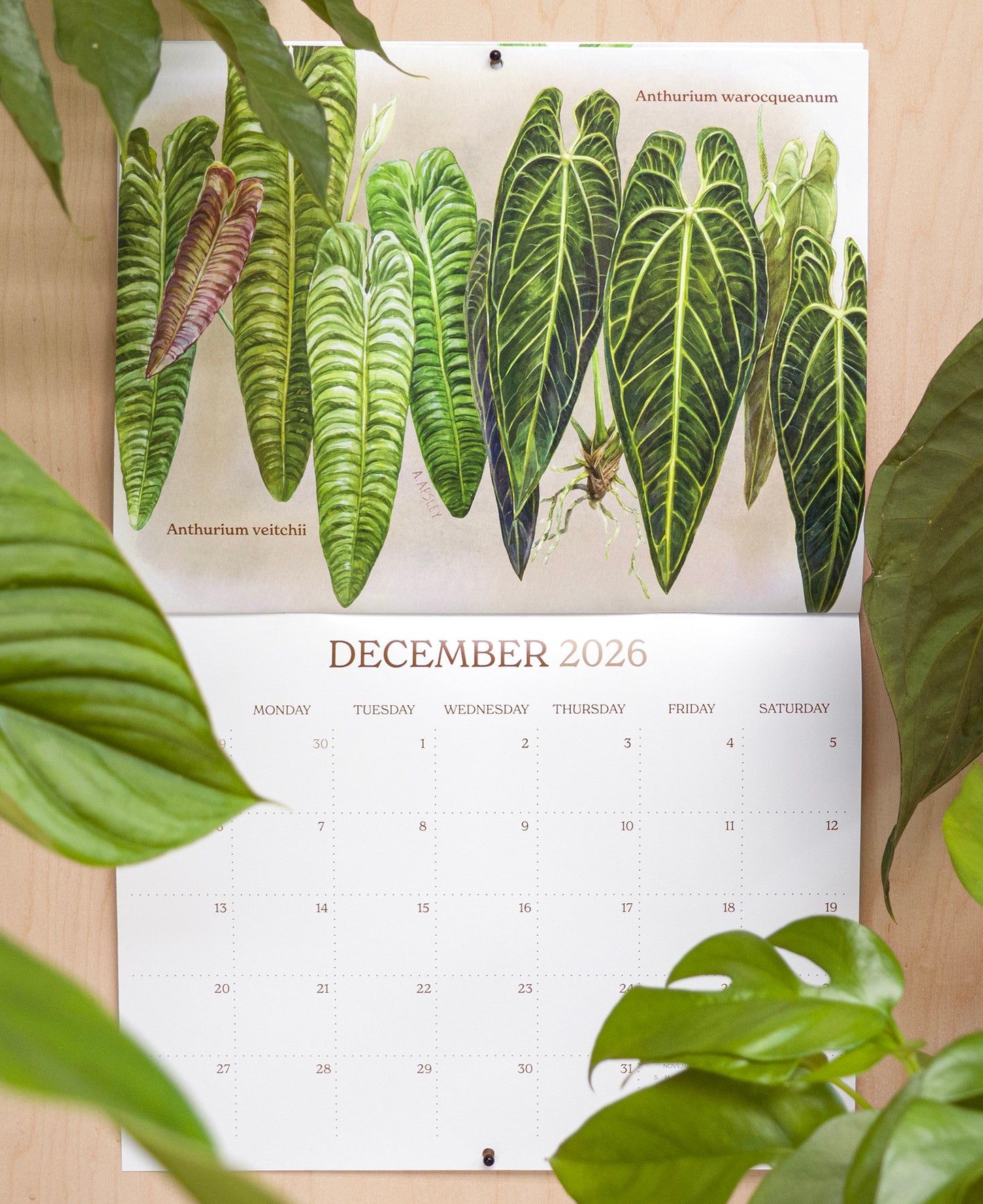 2026 Aroid Wall Calendar