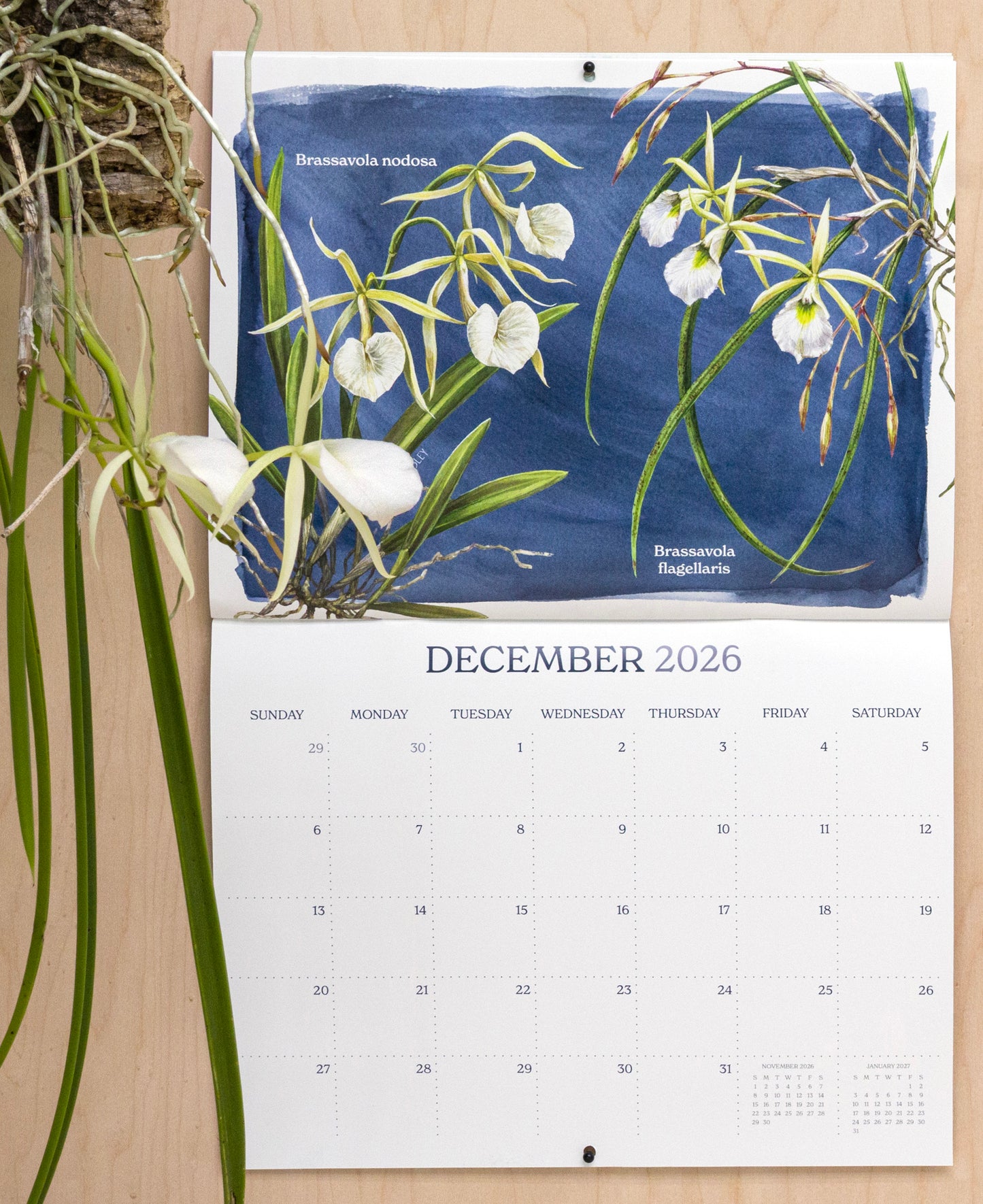 2026 Orchid Wall Calendar