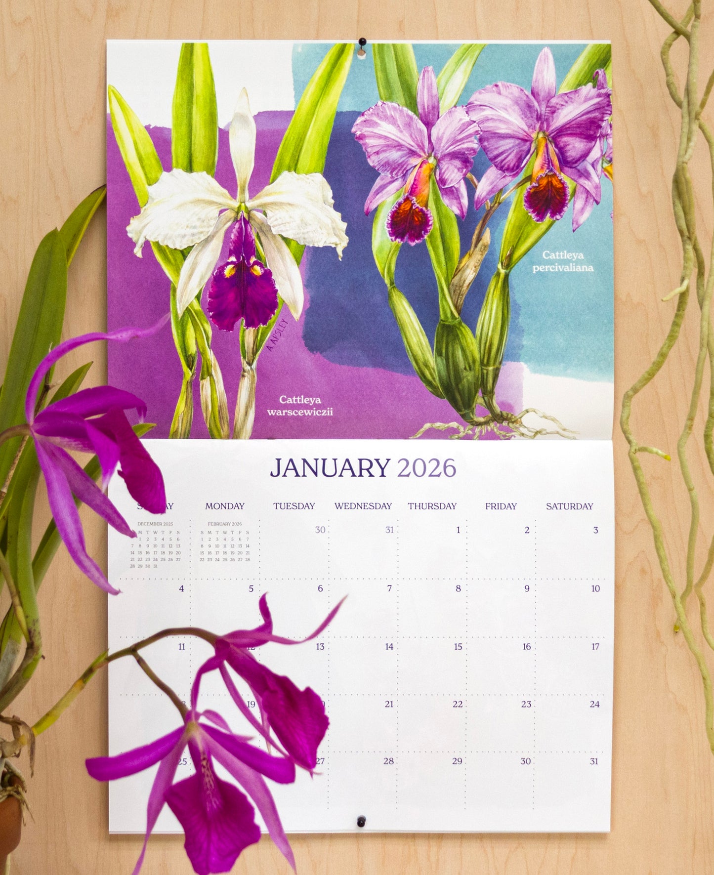 2026 Orchid Wall Calendar