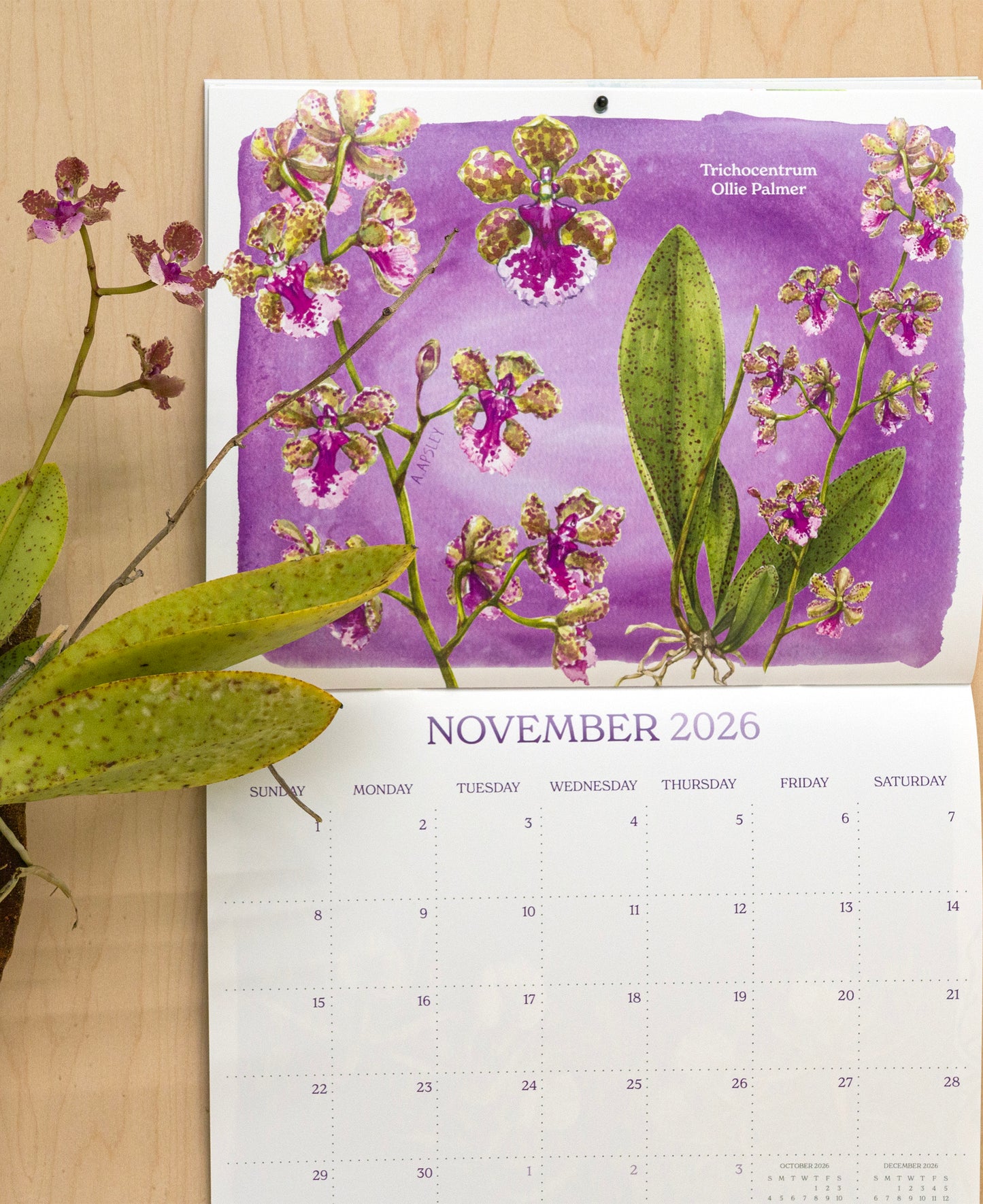 2026 Orchid Wall Calendar