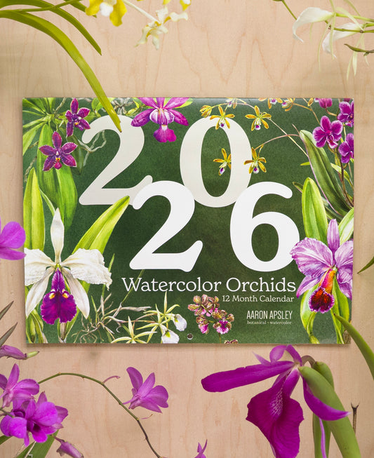 2026 Orchid Wall Calendar