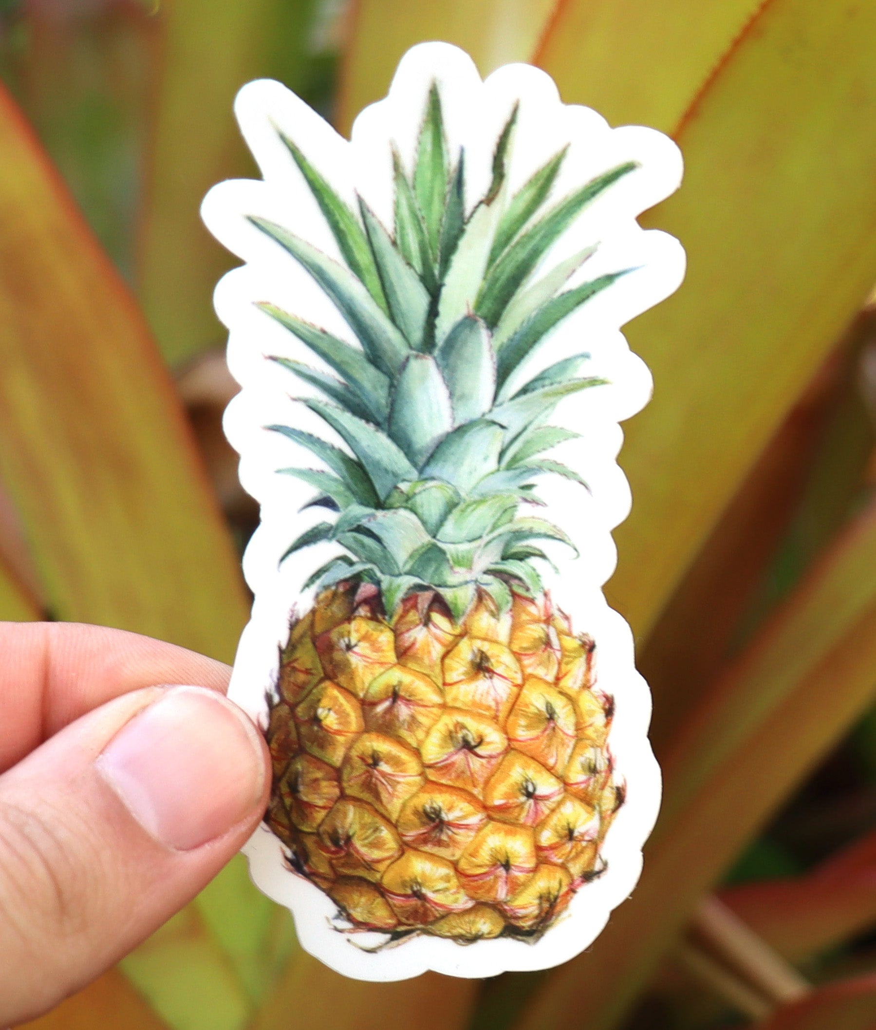 Pinappe Sticker Pineapple Sticker – Aaron Apsley Artwork