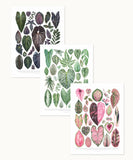 Colorful Houseplants Print Set
