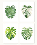 Monstera deliciosa Print Set