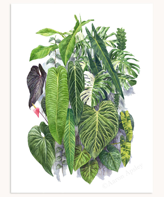 NSE Living Wall Print