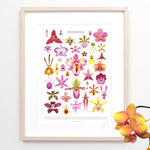 Orchid Flowers Print