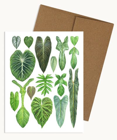 Philodendron Species Notecard