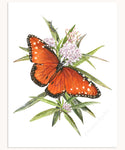 Queen Butterfly & Aquatic Milkweed Print