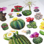 Flowering Cactus Species Print