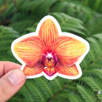 Phalaenopsis Sticker