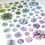Succulent Rosettes Print