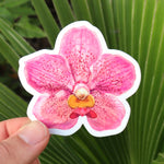 Vanda Sticker